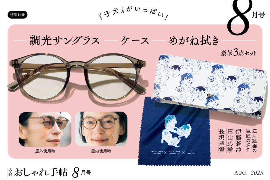 調光サングラス＆江戸絵画の巨匠の名作柄ケース、めがね拭き
