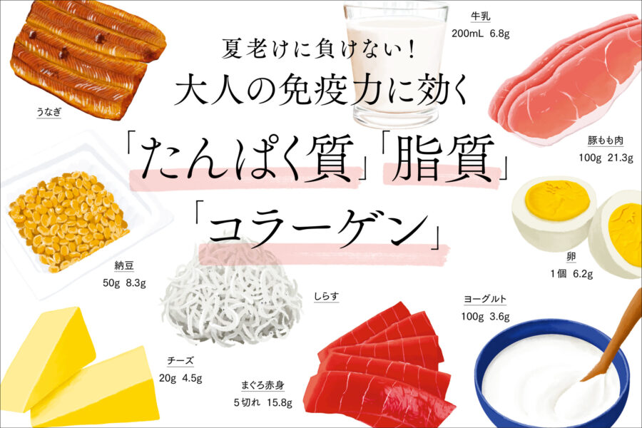 夏老けに負けない！ 大人の免疫力に効く「たんぱく質」「脂質」「コラーゲン」