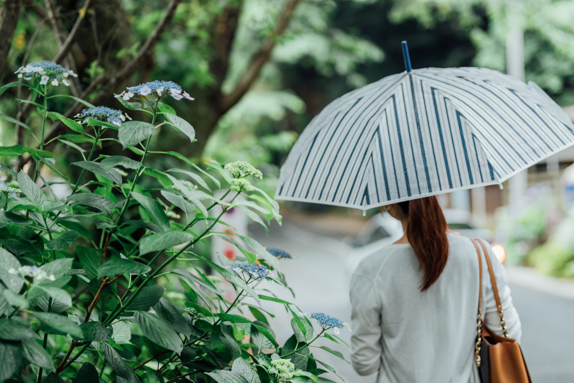 今注目の機能的な「傘」4選梅雨に向けて要チェック！ | 大人のおしゃれ