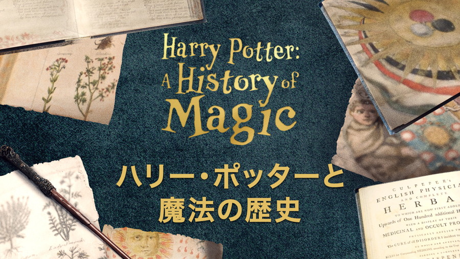 ハリー･ポッターと魔法の歴史