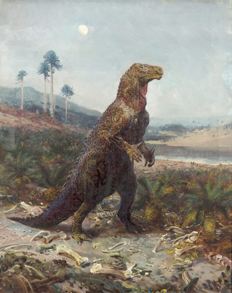 『特別展 「恐竜図鑑―失われた世界の想像／創造」』