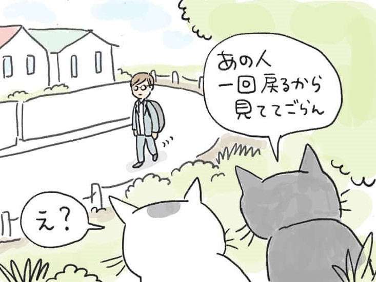 猫　漫画　日常　4コマ　杉崎アチャ
