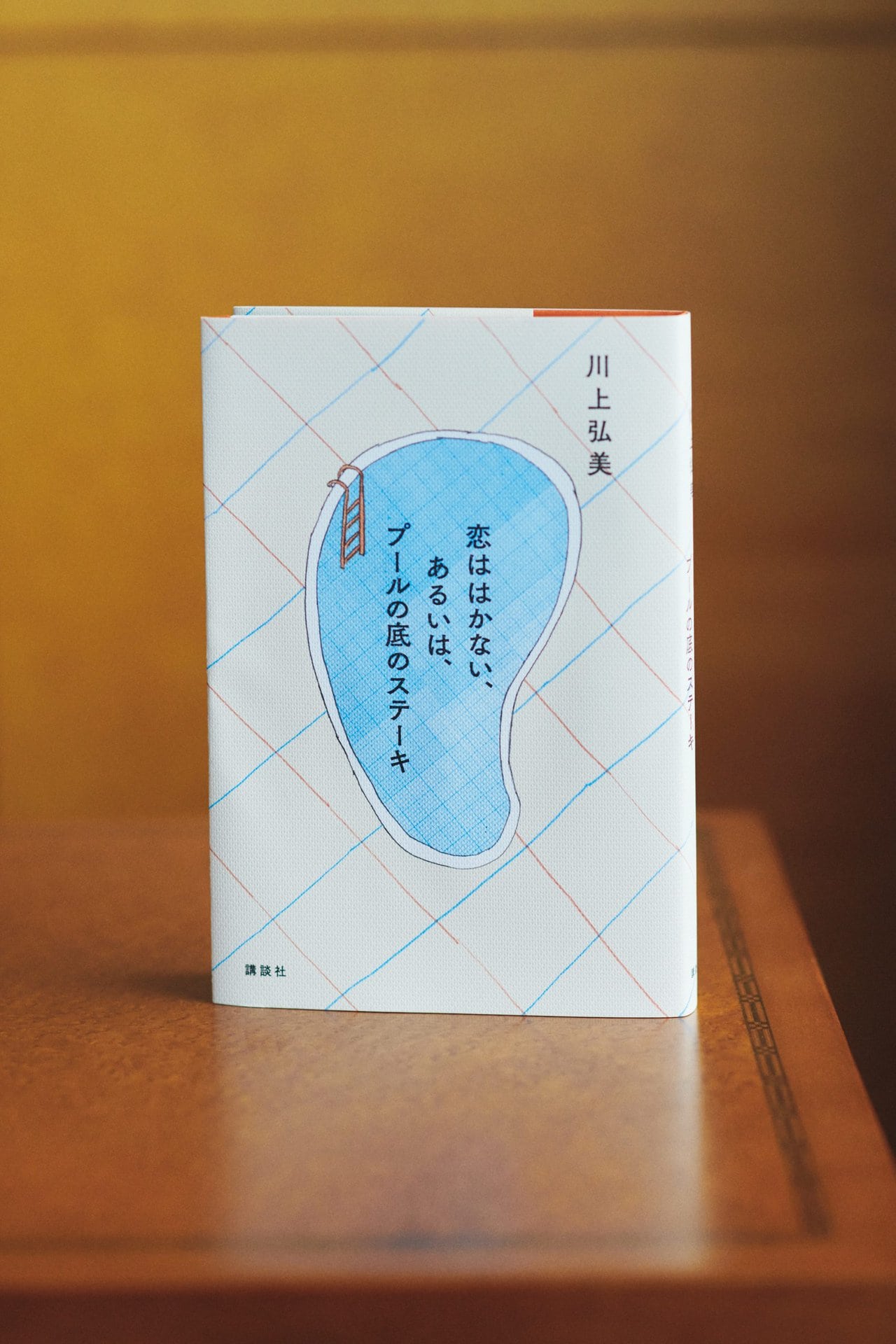 『恋ははかない、あるいは、 プールの底のステーキ』 川上弘美 ¥1,870（講談社）