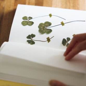 「実は束見本」という白い冊子は四葉のクローバーの押し花集。