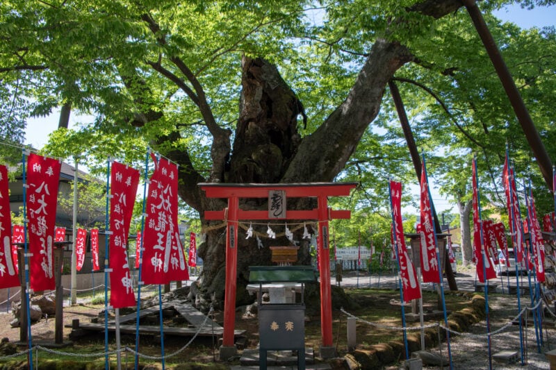 秩父今宮神社