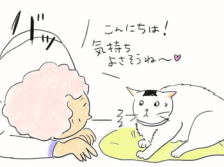 猫マンガ　4コマ漫画