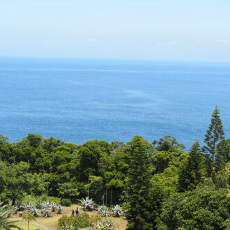 箱根・熱海旅（1泊2日）初島散策