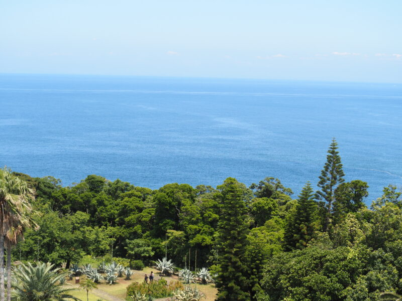 箱根・熱海旅（1泊2日）初島散策