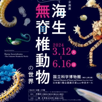 企画展 『知られざる海生無脊椎動物の世界』 開催中〜6月16日（日） 国立科学博物館（東京都）