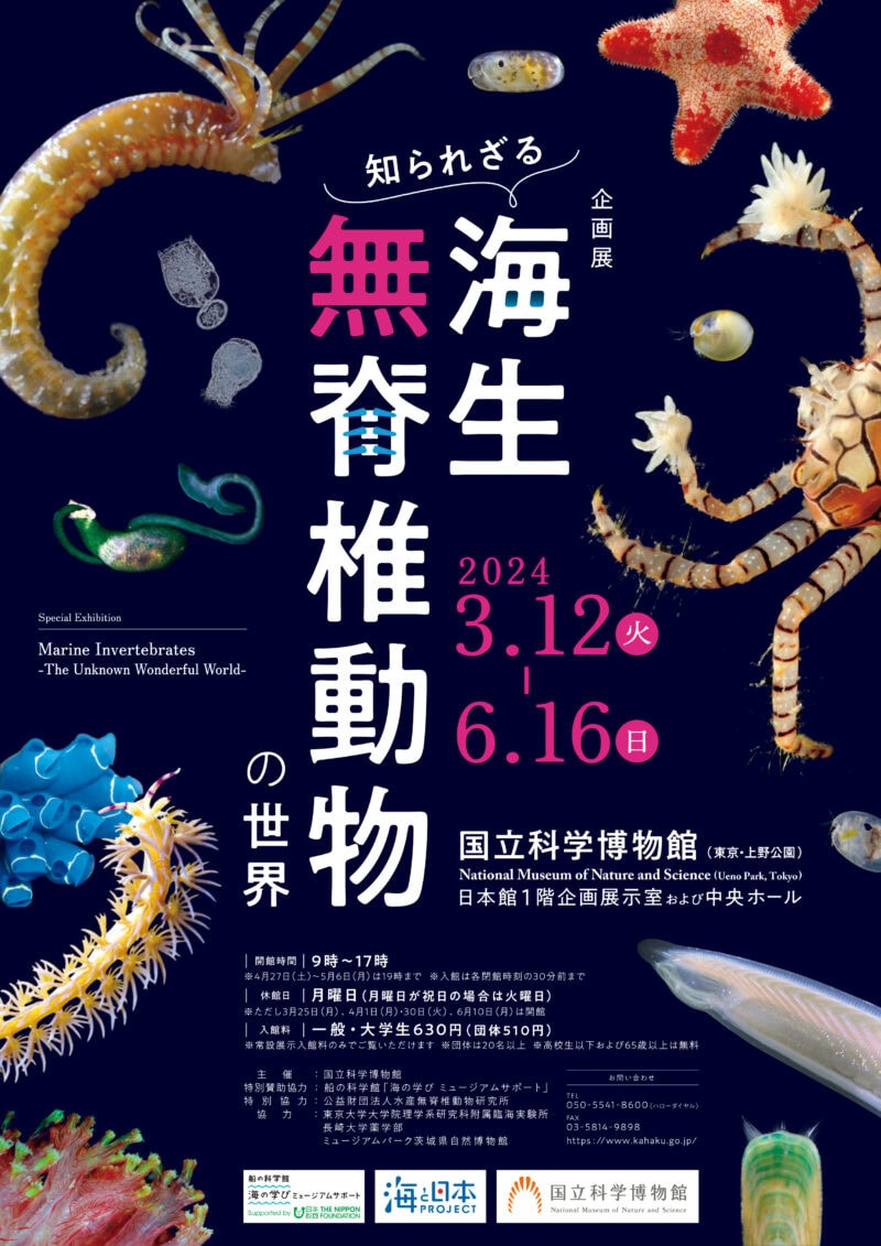 企画展 『知られざる海生無脊椎動物の世界』 開催中〜6月16日（日） 国立科学博物館（東京都）