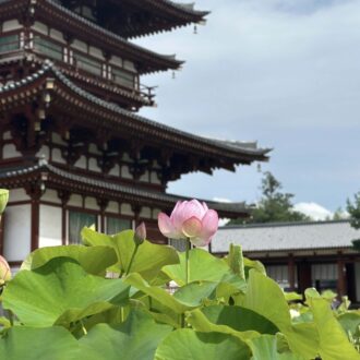 【奈良観光体験レポ】心洗われる！ 蓮の美しいお寺4選 ―エディター・あさこの奈良めぐり①―