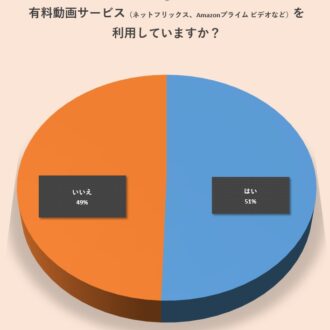 有料動画サービスの利用について