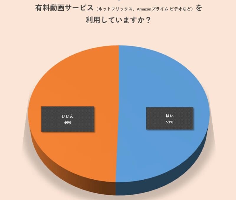 有料動画サービスの利用について