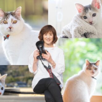 【50代カメラ女子の猫日記】
人生を変えた保護猫・ぽんずとの出会い