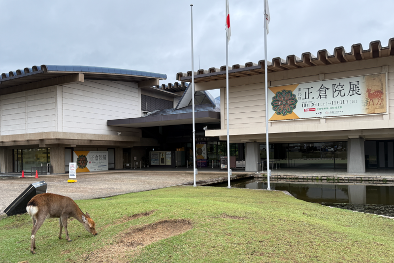 奈良　奈良国立博物館　正倉院展