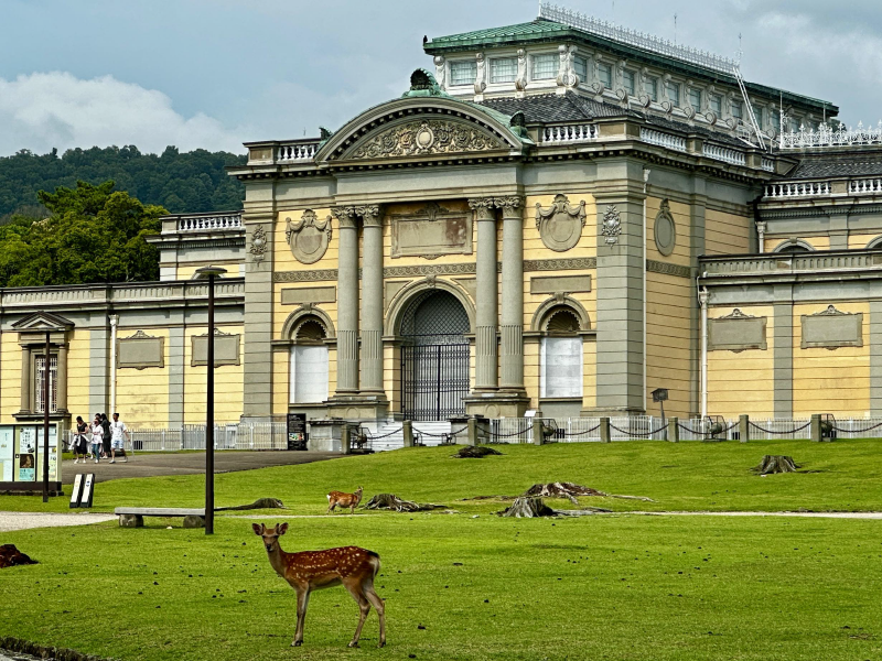 奈良　奈良国立博物館　正倉院展　レトロ建築