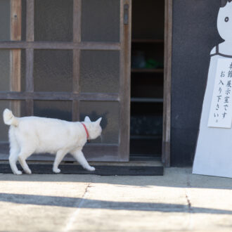 松山庭園美術館