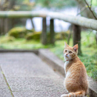 松山庭園美術館