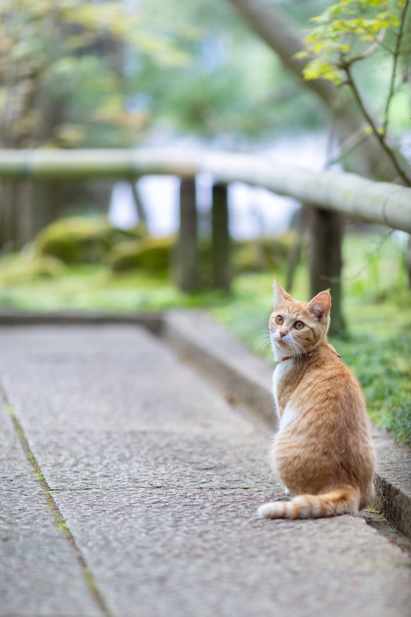 松山庭園美術館