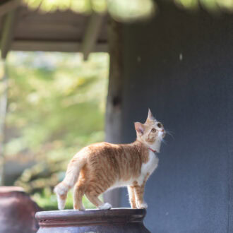 松山庭園美術館