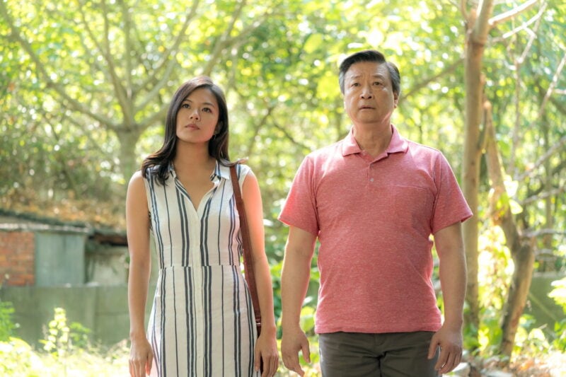 家族や故郷への思いを描く『タイガーテール －ある家族の記憶－』。Netflixで独占配信中。