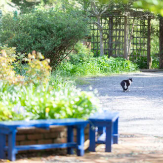 「ドリプレ・ローズガーデン」庭園
