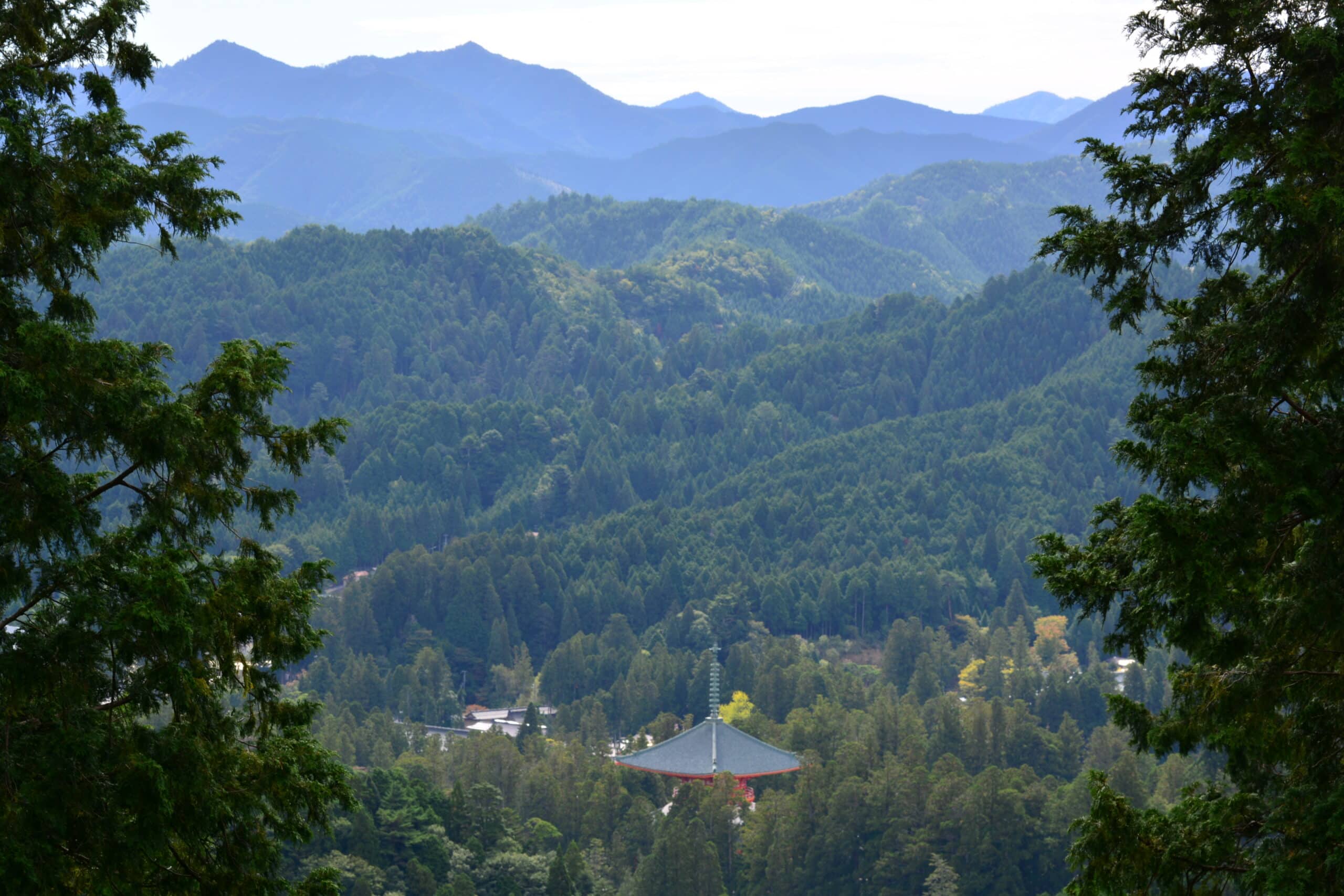 287_高野山　壇上伽藍
