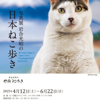 写真展 『岩合光昭の日本ねこ歩き』 開催中～ 6 月22日（日） 東京富士美術館
