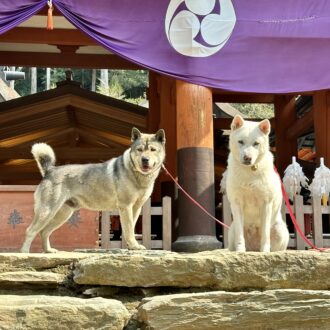 和歌山　かつらぎ町　丹生都比売神社
