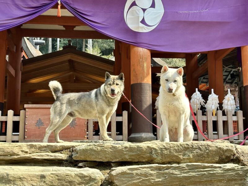 和歌山　かつらぎ町　丹生都比売神社