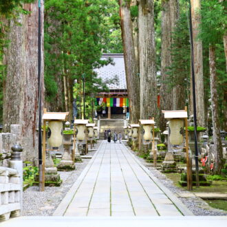 【高野への旅／後編】「行きたいな」と思ったときが訪れどき 金剛峯寺・奥之院で心のデトックス