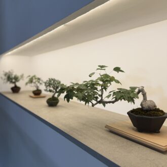翠門亭_塩津植物研究所04