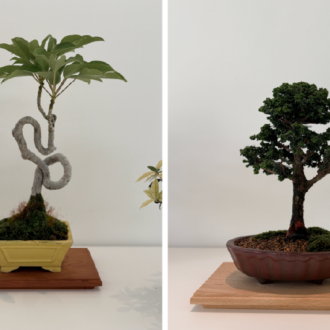 翠門亭_塩津植物研究所10