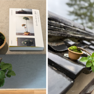 翠門亭_塩津植物研究所14