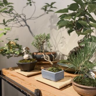 塩津植物研究所_森岡書店04