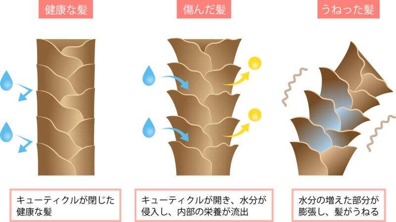 50代のヘアケア