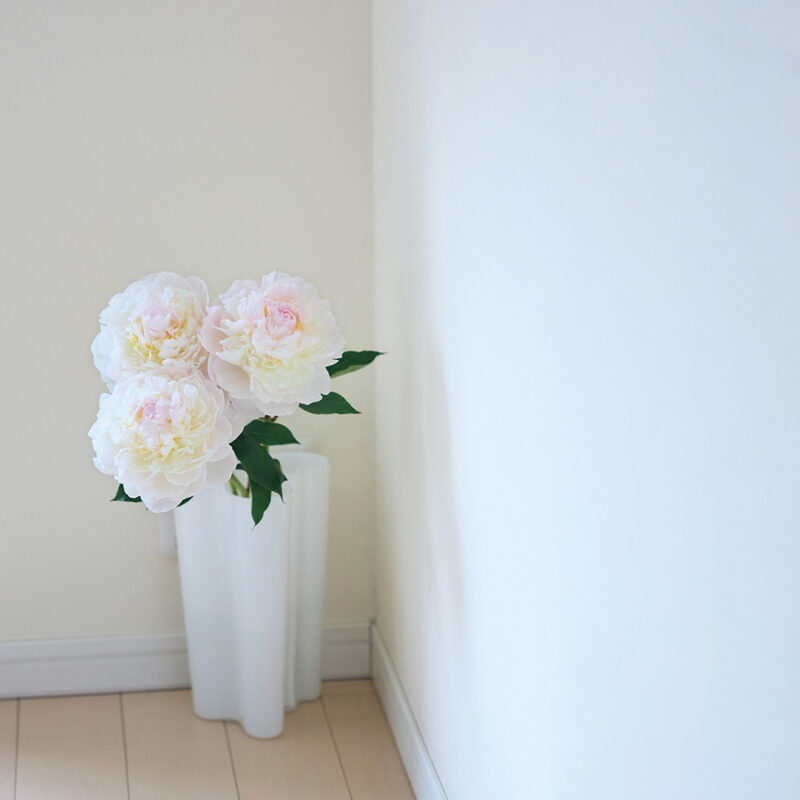 部屋に飾るのは夏仕様の白い花のみ