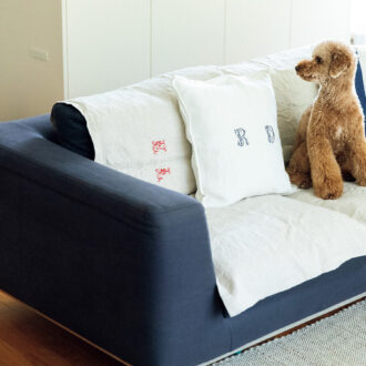 愛犬あんずくん（トイプードル、3 歳）も涼しく過ごせてご満悦。