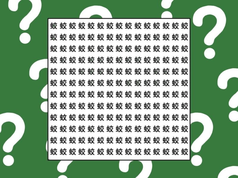 【3分脳活】漢字間違い探し