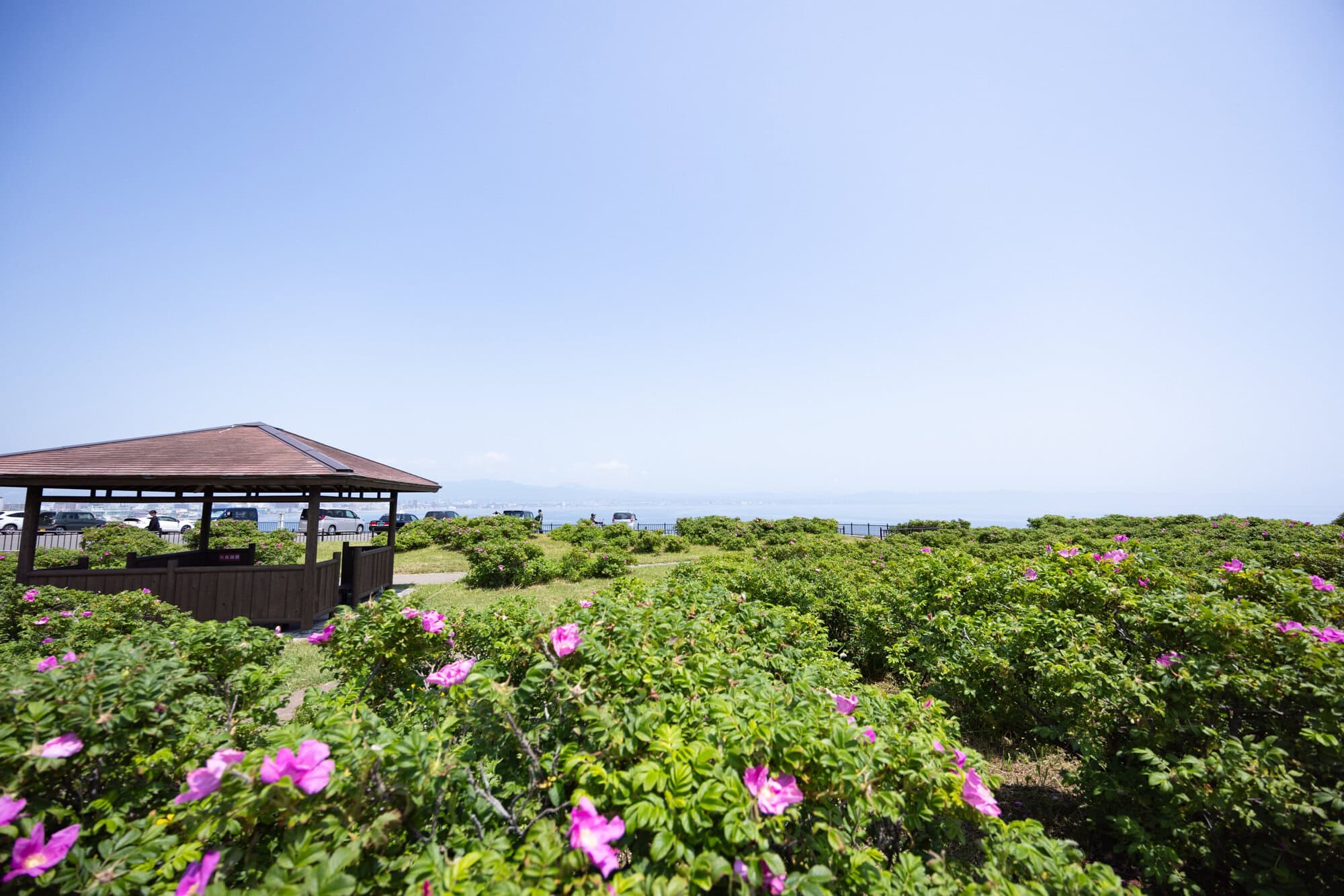 立待岬