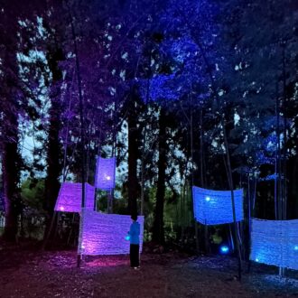 【大人の秋旅】４万人が新潟県・田上町に集結⁉ 注目のイベント 「たがみバンブーブー2025」の体験レポート！