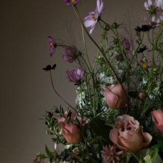 自然のコスモスを、チョコレートコスモス、クリスマスブッシュ、フジバカマとともに