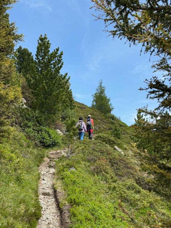 アルプス登山【50代からの「整う」ヨーロッパ便り】