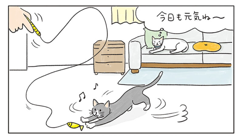4コマ漫画『ねころびもひとしお』 第46話　可愛いから許す！