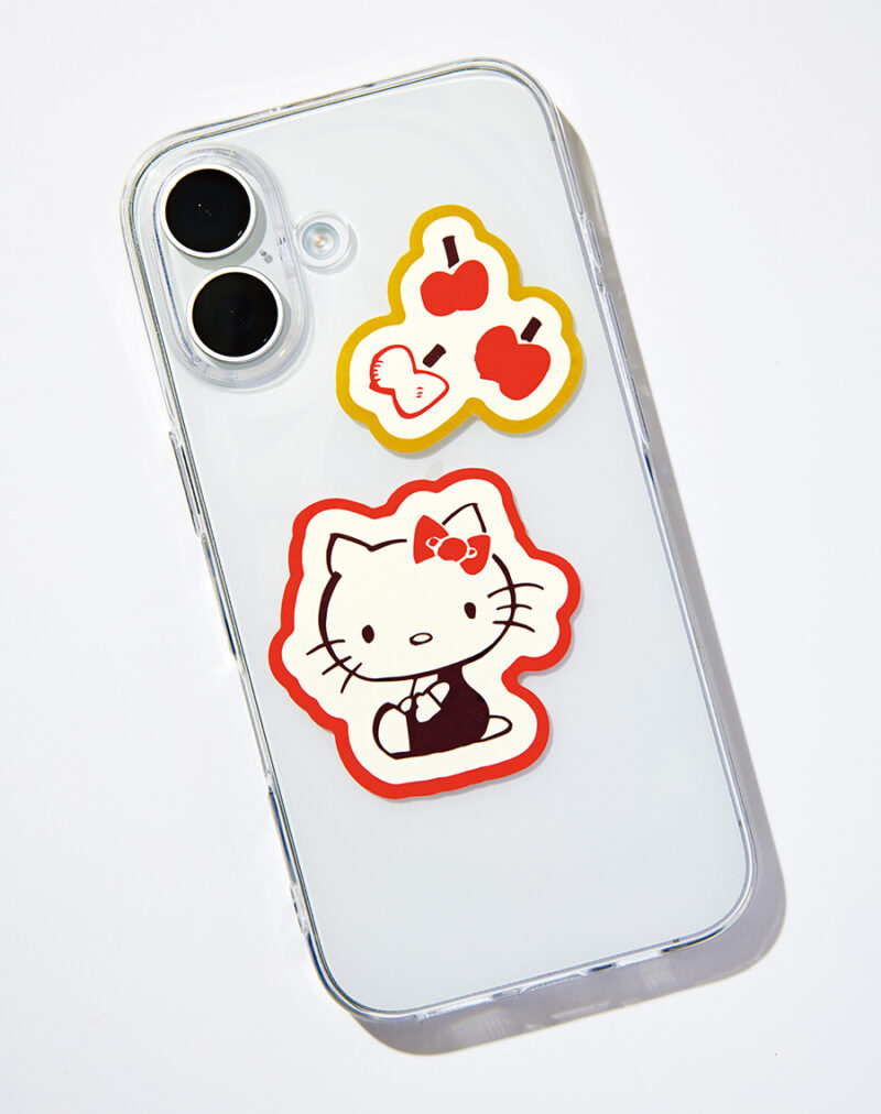 ケースに貼ったり、切り取ってケースに挟んだりも。 パソコンのボディに貼ってもかわいい。