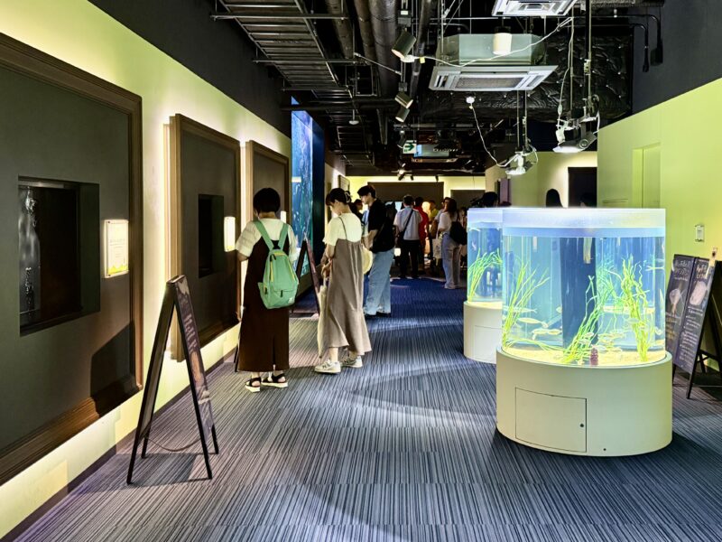 四国水族館　内観