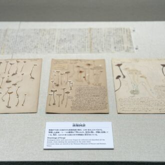 和歌山　白浜　南方熊楠記念館04