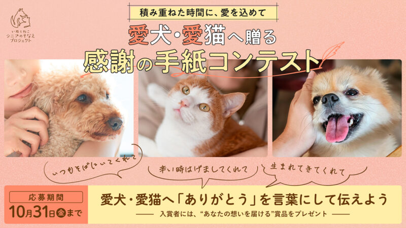 ペットへの手紙