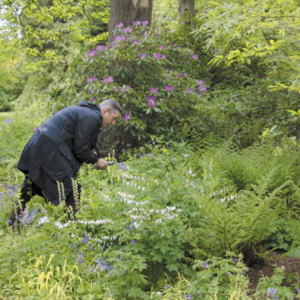 広大な庭で花を摘むドリス。『ドリス・ヴァン・ノッテン ファブリックと花を愛する男』©2016 Reiner Holzemer Film-RTBF-Aminata bvba-BR-ARTE