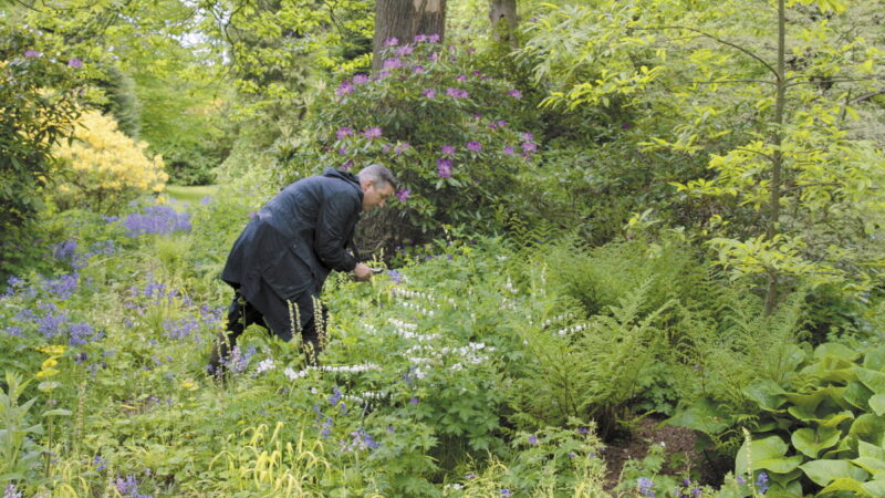 広大な庭で花を摘むドリス。『ドリス・ヴァン・ノッテン ファブリックと花を愛する男』©2016 Reiner Holzemer Film-RTBF-Aminata bvba-BR-ARTE